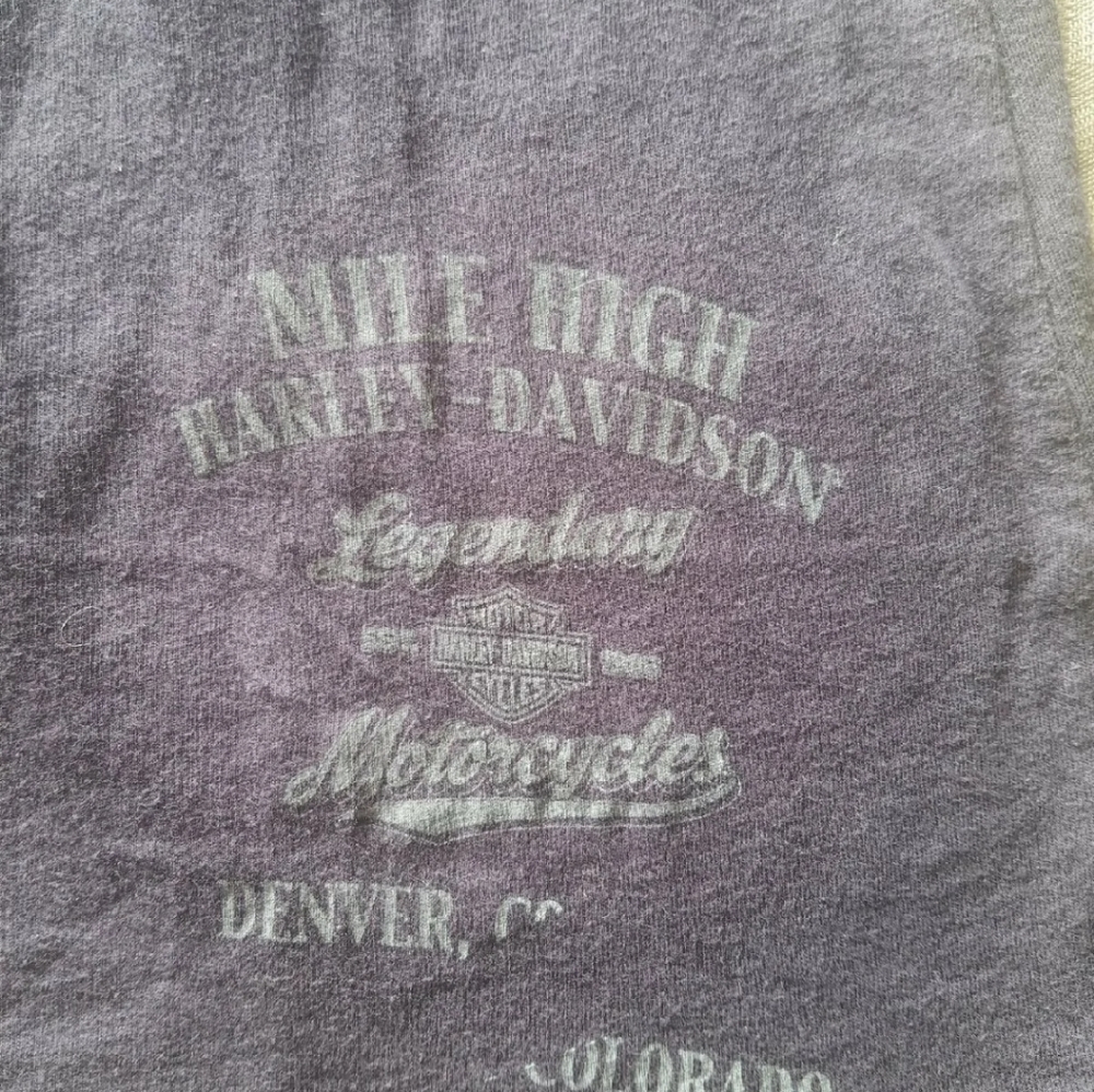 Harley-Davidson Eagle Print Tee - image 8